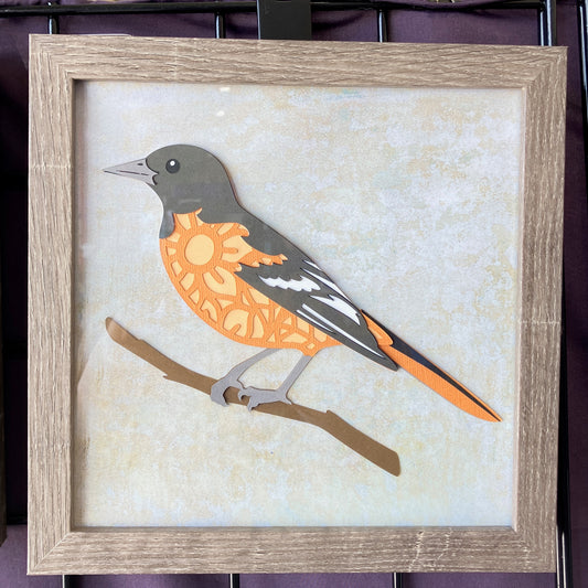 Oriole, 8x8 Shadow Box