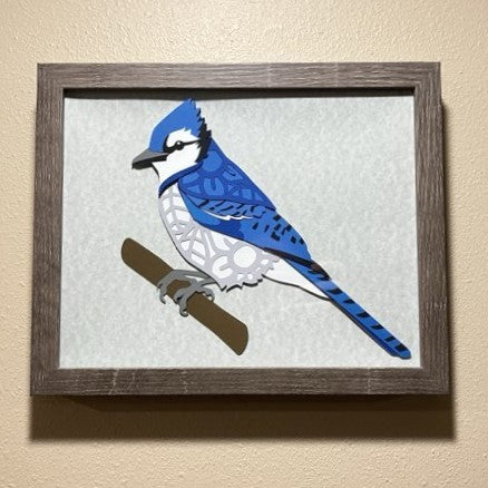 Blue Jay, 8x10 Shadow Box