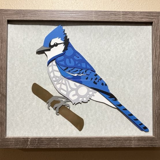 Blue Jay, 8x10 Shadow Box, close up
