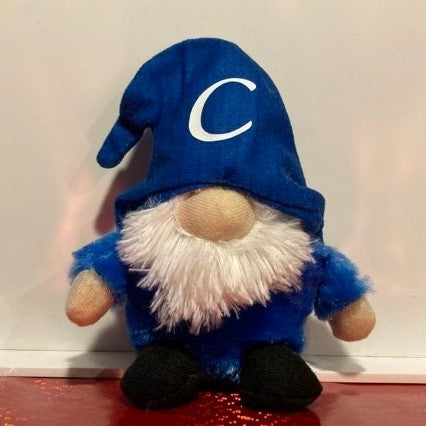 Personalized Christmas Gnomes, Multiple Options Available, Blue